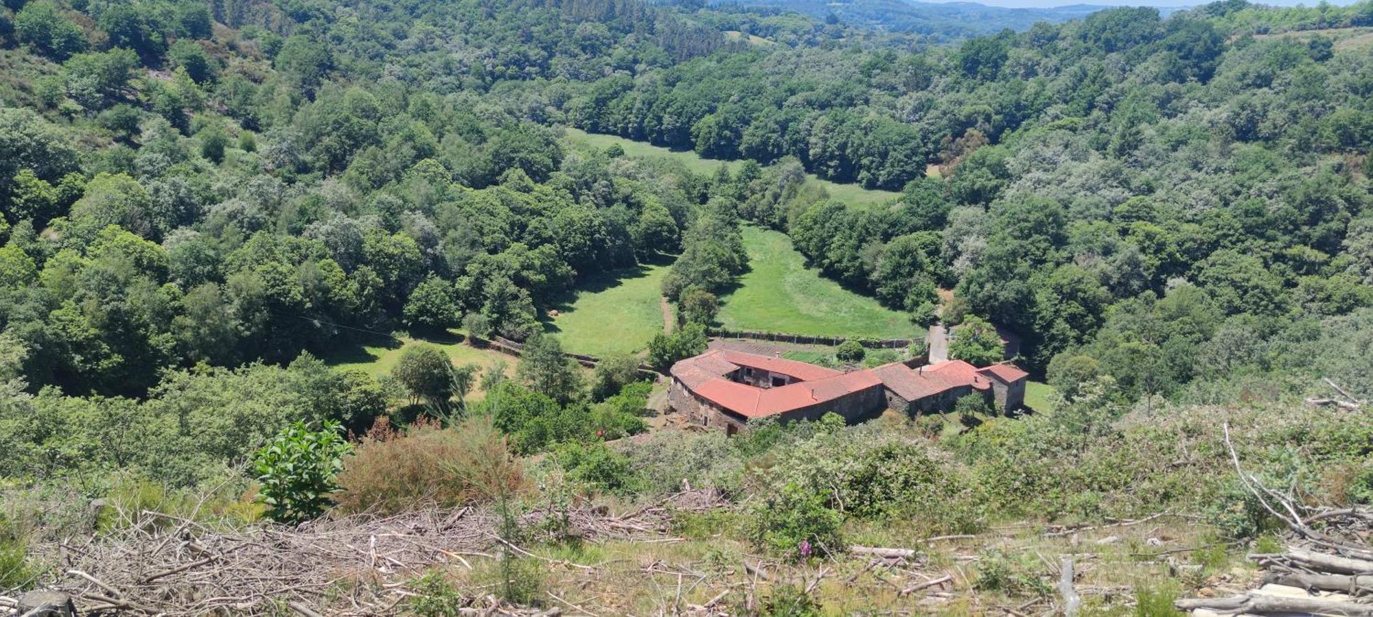 Casa Grande De Covas-Apartamentos Turisticos Taboada Kültér fotó