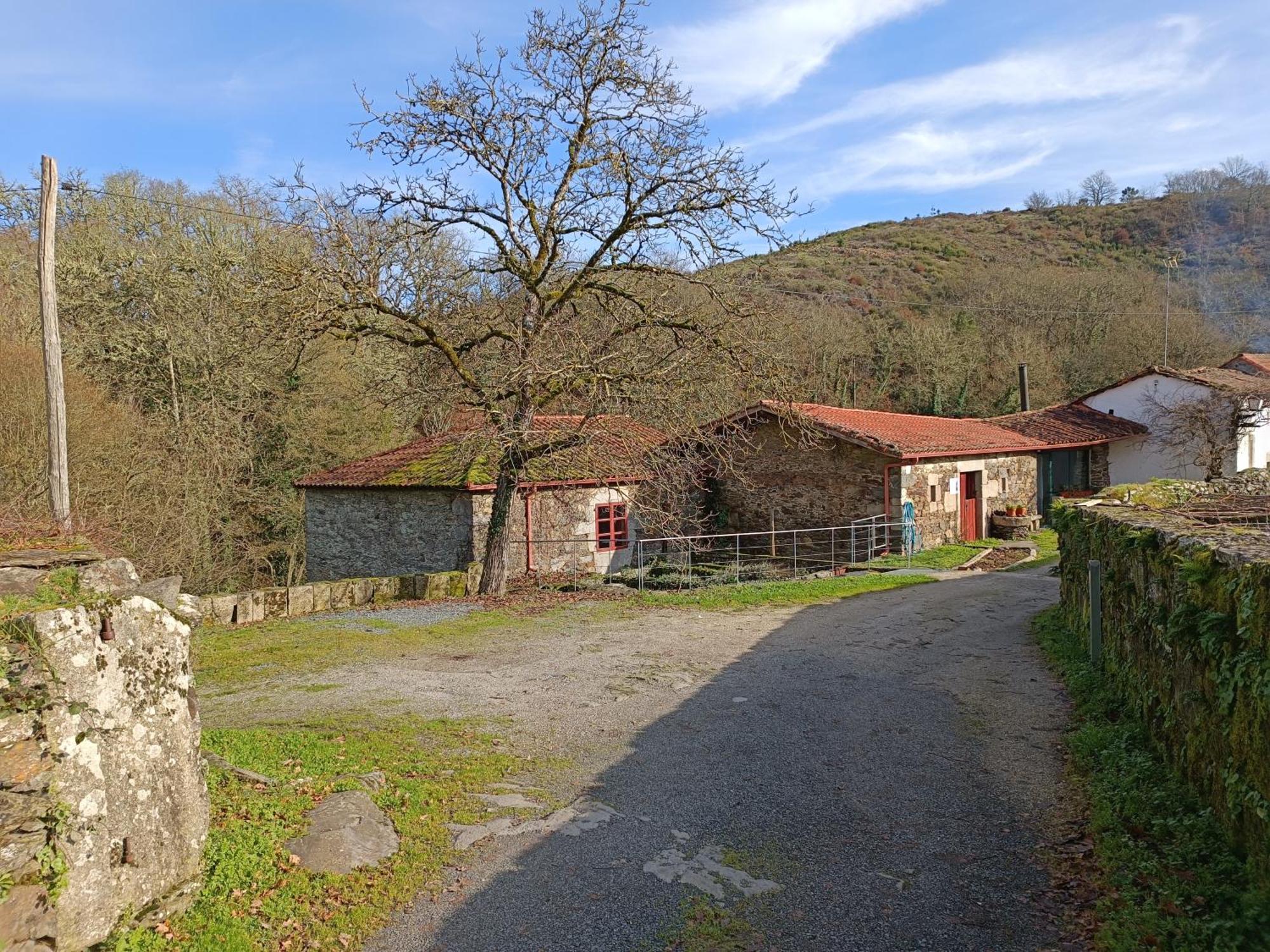 Casa Grande De Covas-Apartamentos Turisticos Taboada Kültér fotó