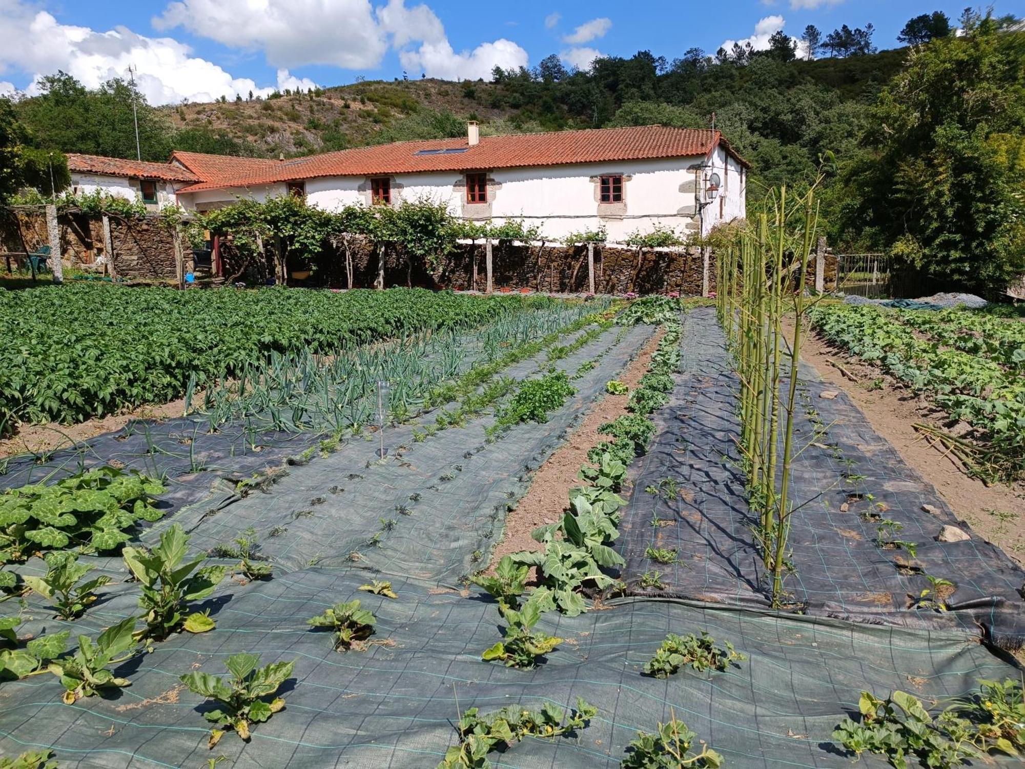 Casa Grande De Covas-Apartamentos Turisticos Taboada Kültér fotó
