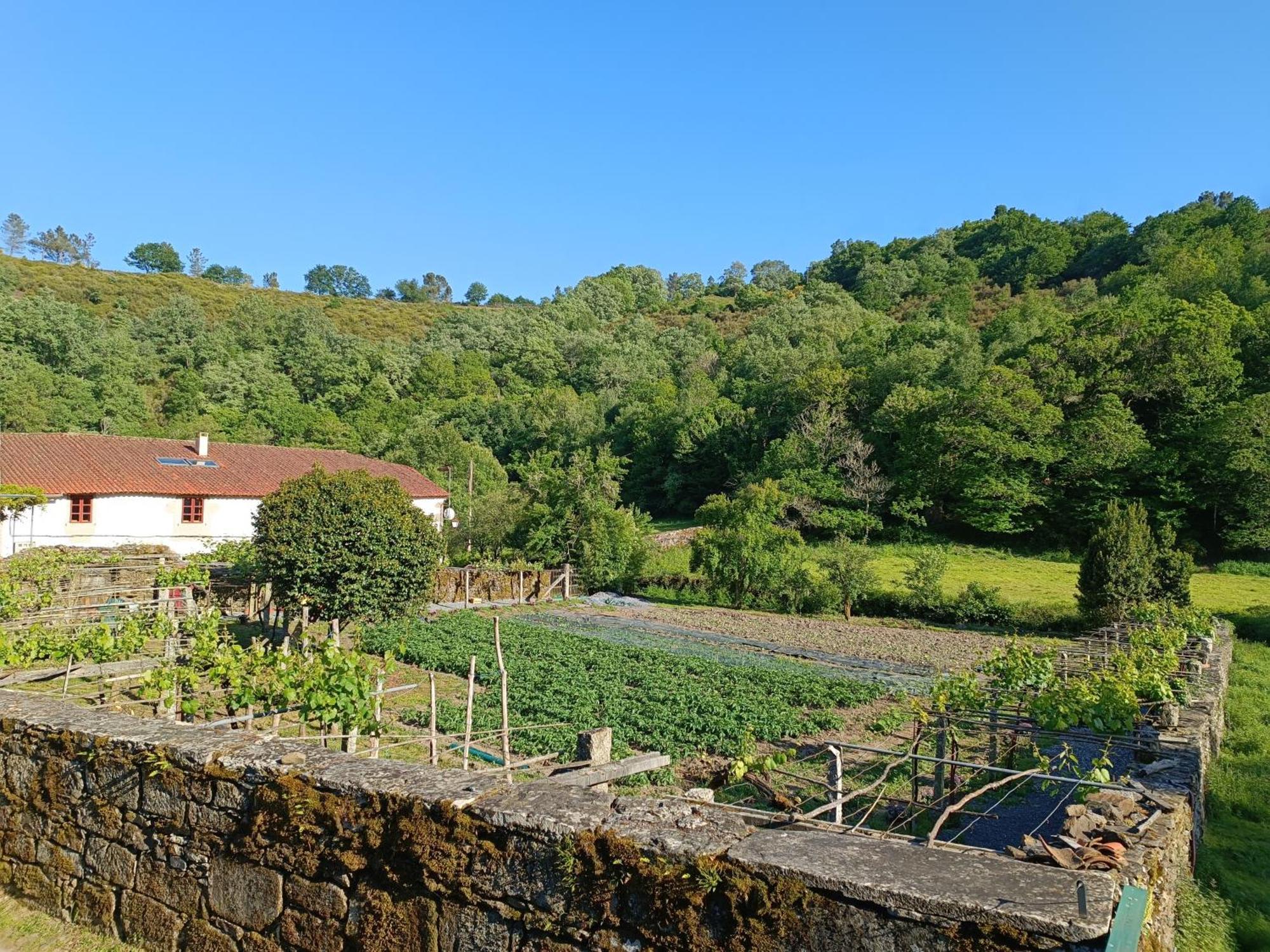 Casa Grande De Covas-Apartamentos Turisticos Taboada Kültér fotó