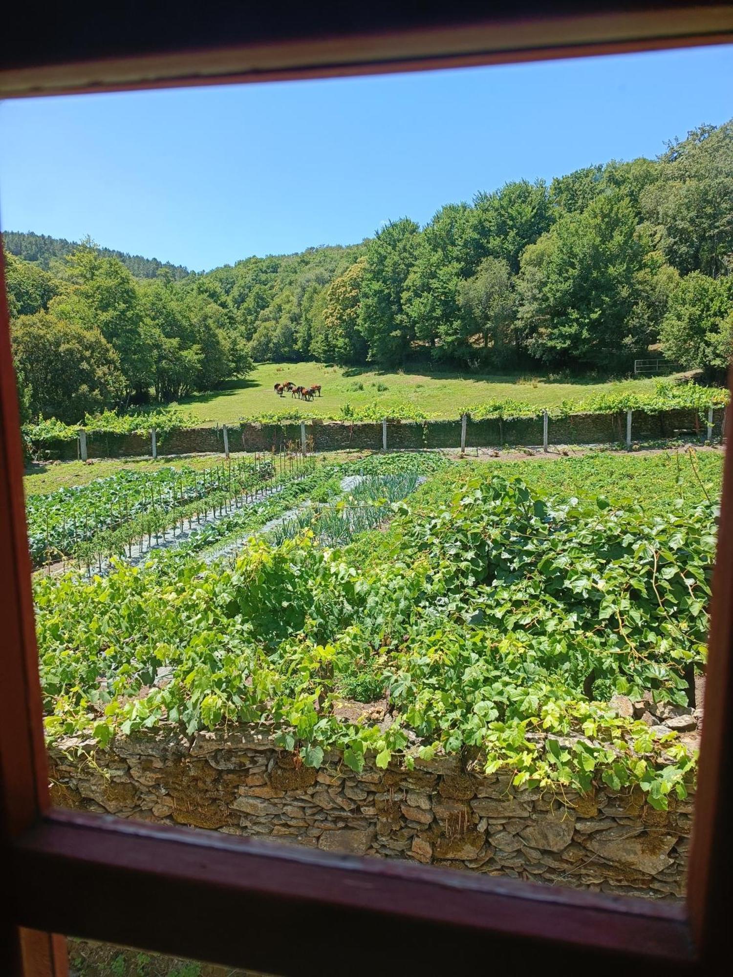 Casa Grande De Covas-Apartamentos Turisticos Taboada Kültér fotó