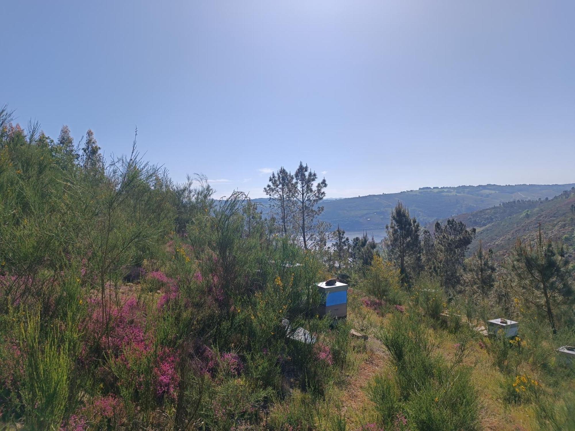 Casa Grande De Covas-Apartamentos Turisticos Taboada Kültér fotó
