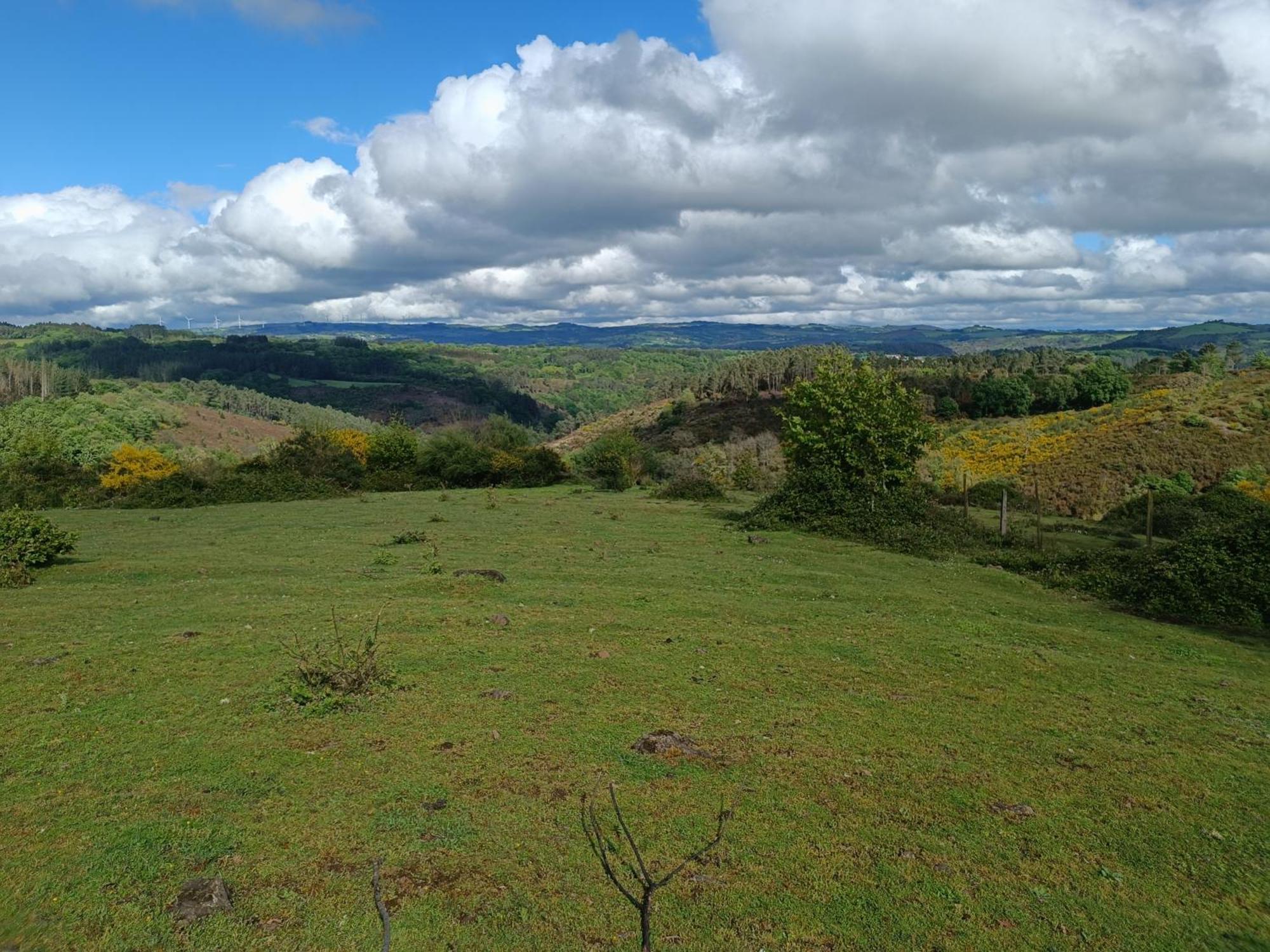 Casa Grande De Covas-Apartamentos Turisticos Taboada Kültér fotó