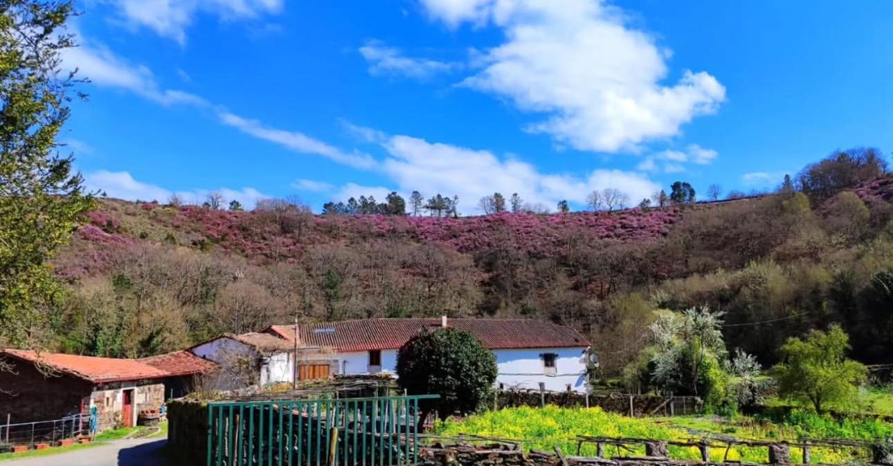 Casa Grande De Covas-Apartamentos Turisticos Taboada Kültér fotó