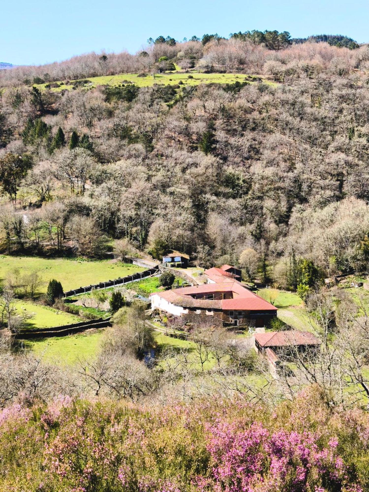 Casa Grande De Covas-Apartamentos Turisticos Taboada Kültér fotó