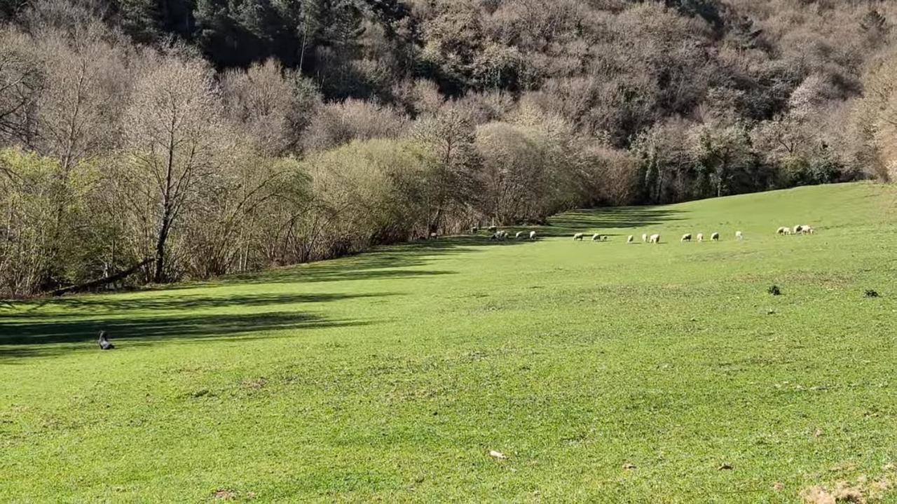 Casa Grande De Covas-Apartamentos Turisticos Taboada Kültér fotó